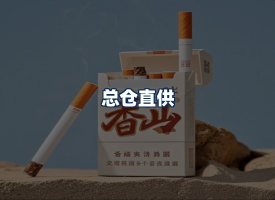 专业团队办公环境